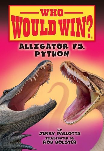 Alligator Vs. Python
