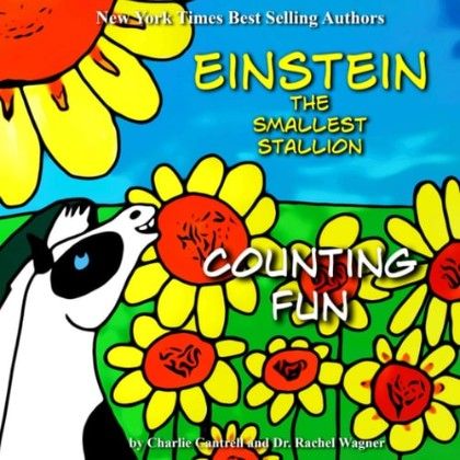 Counting for Fun