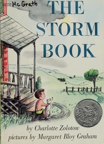 The Storm Book
