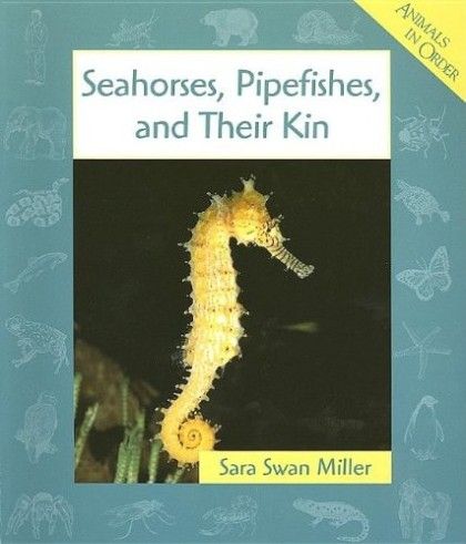 Seahorses, Pipefishes, and Their Kin