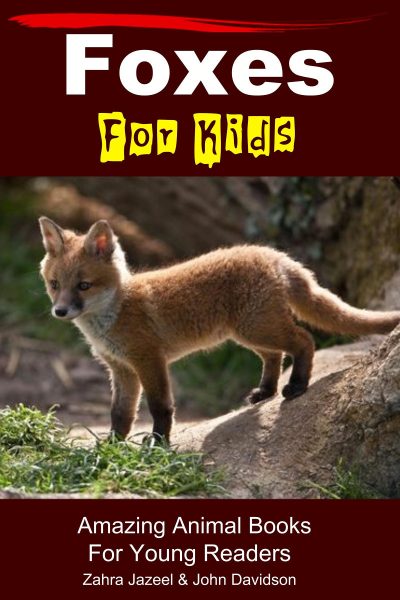 Foxes for Kids