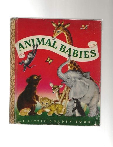 Animal Babies