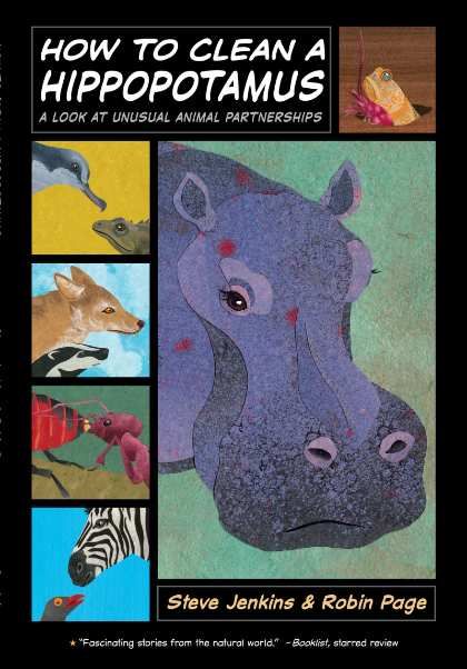 How to Clean a Hippopotamus
