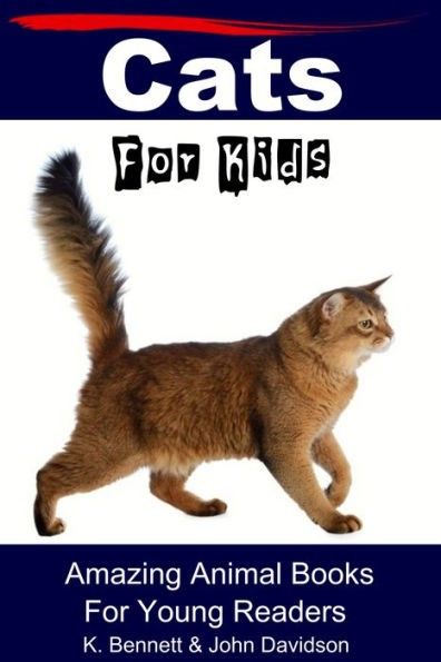 Cats for Kids
