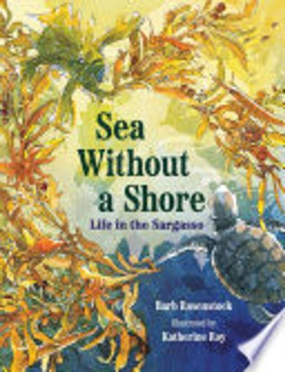 Sea Without a Shore