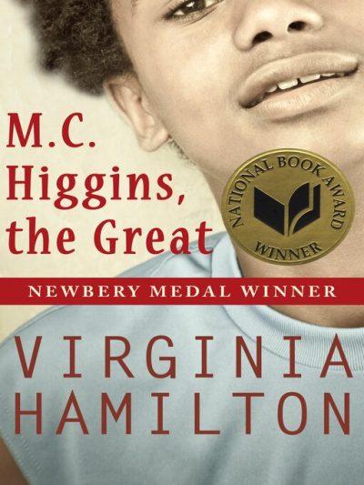 M. C. Higgins, the Great