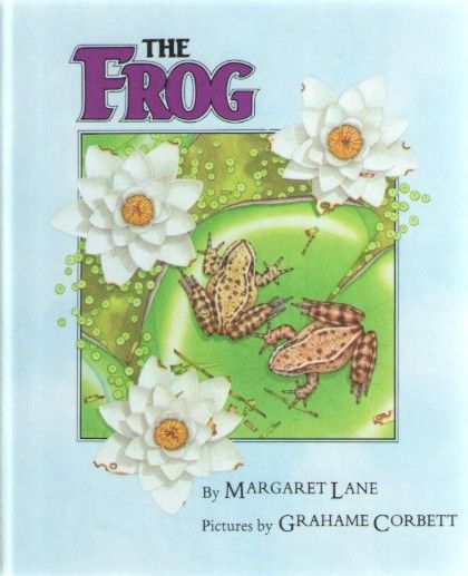 The Frog
