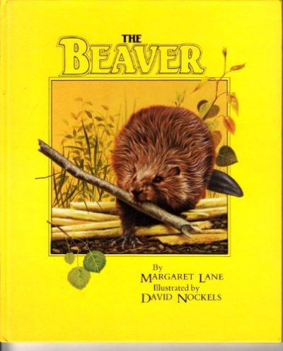 The Beaver