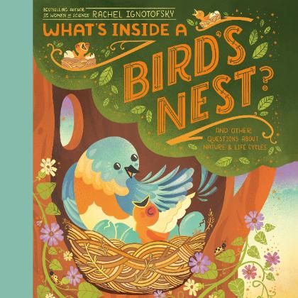 What's Inside a Bird's Nest?