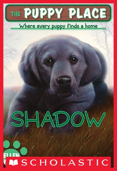 Shadow