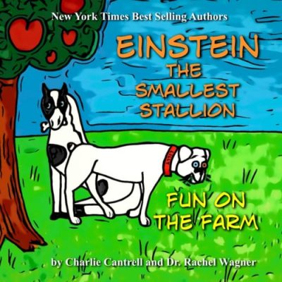 Fun on the Farm