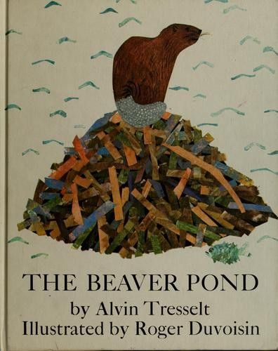 The Beaver Pond
