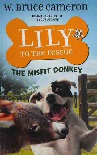 The Misfit Donkey