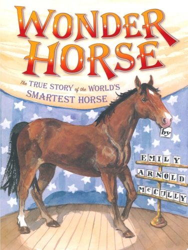 Wonder Horse