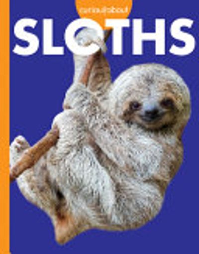 Curious About Sloths