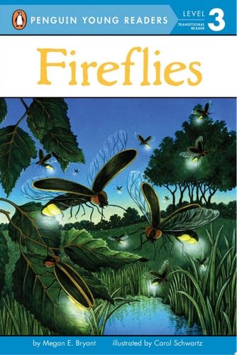 Fireflies