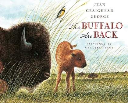 The Buffalo Are Back
