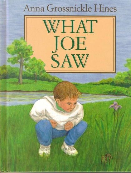 What Joe Saw