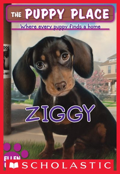Ziggy