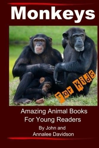 Monkeys for Kids