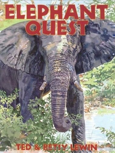 Elephant Quest
