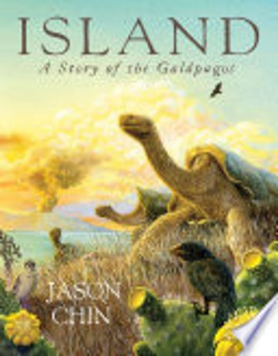 Island
