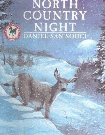 North Country Night