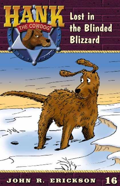 Lost in the Blinded Blizzard