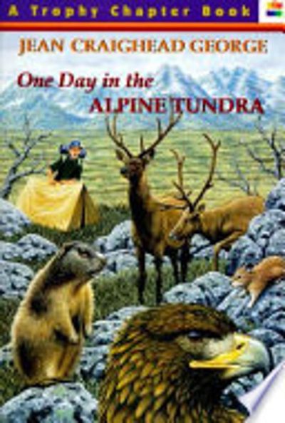 One Day in the Alpine Tundra