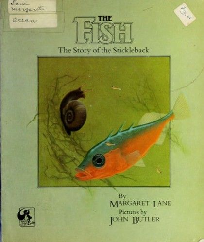 The Fish