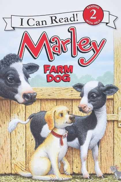 Farm Dog