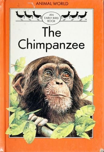 The Chimpanzee
