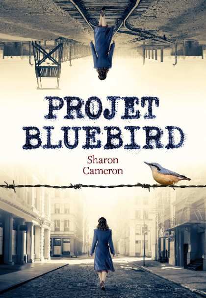 Bluebird