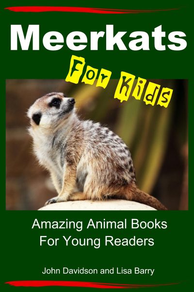 Meerkats for Kids