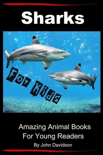 Sharks for Kids