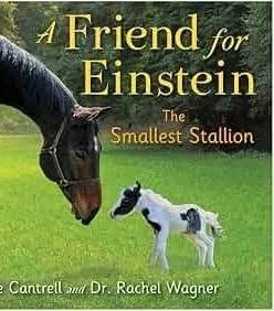 A Friend for Einstein