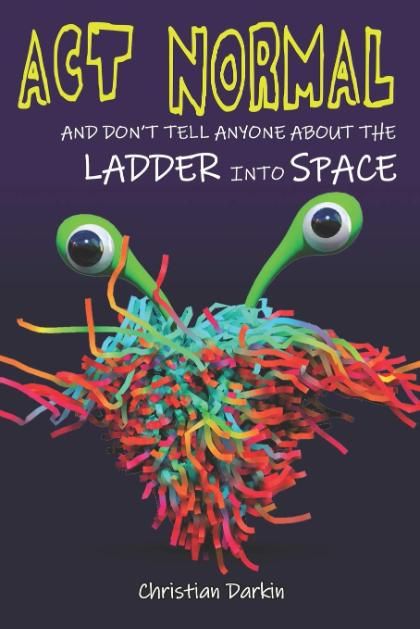 Act Normal and Don't Tell Anyone About the Ladder into Space