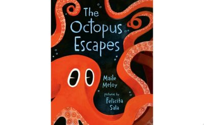 The Octopus Escapes