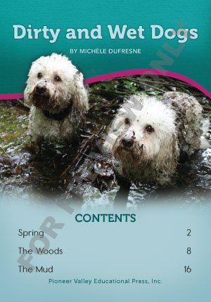 Dirty and Wet Dogs