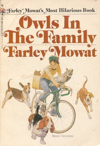 Owls in the Family