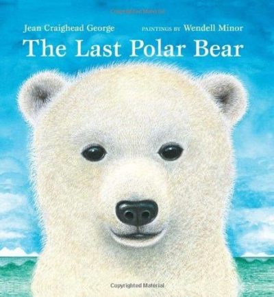 The Last Polar Bear