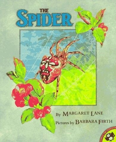 The Spider