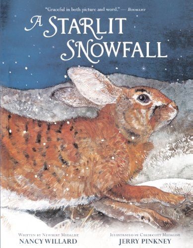 A Starlit Snowfall