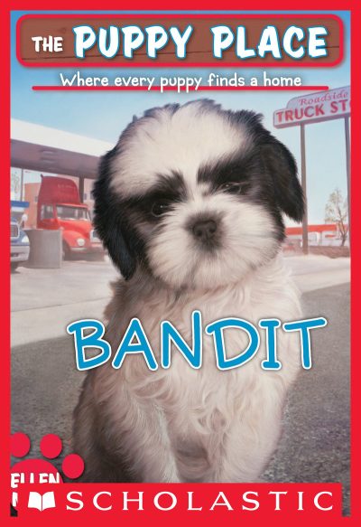 Bandit