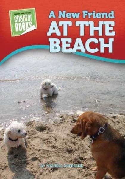 A Trip to the Beach