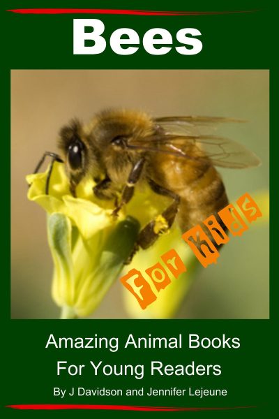 Bees for Kids