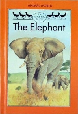 The Elephant