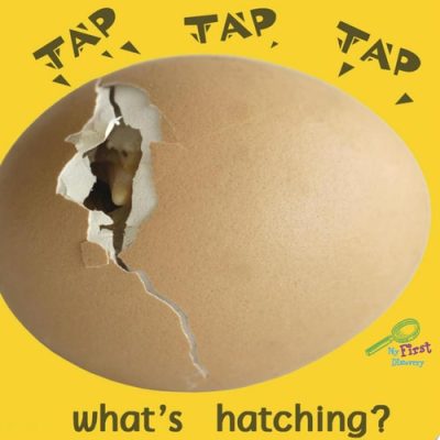 Tap, Tap, Tap What's Hatching?