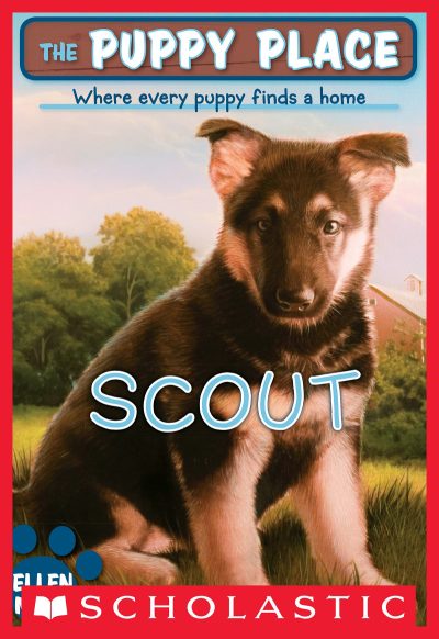 Scout
