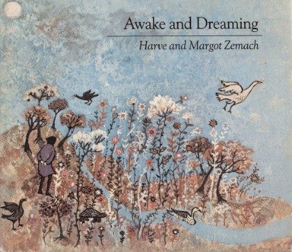 Awake and Dreaming